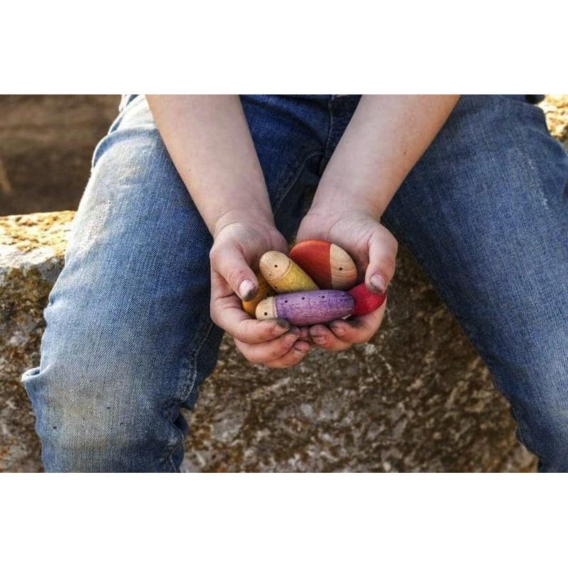 Insectos de Grapat en Libélula Azul