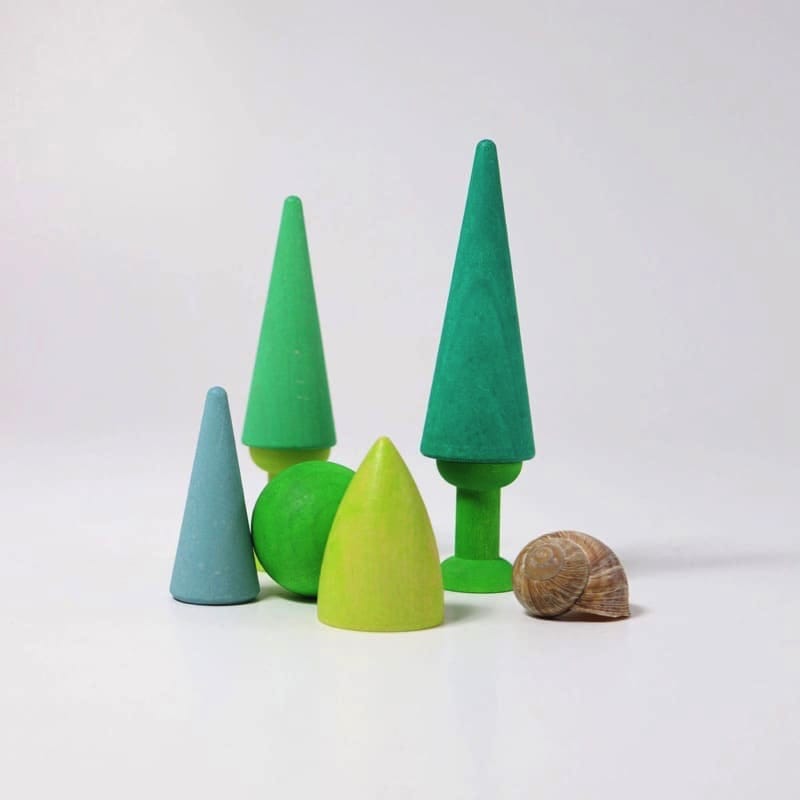 Bosque mixto de Grimm's en Libélula Azul