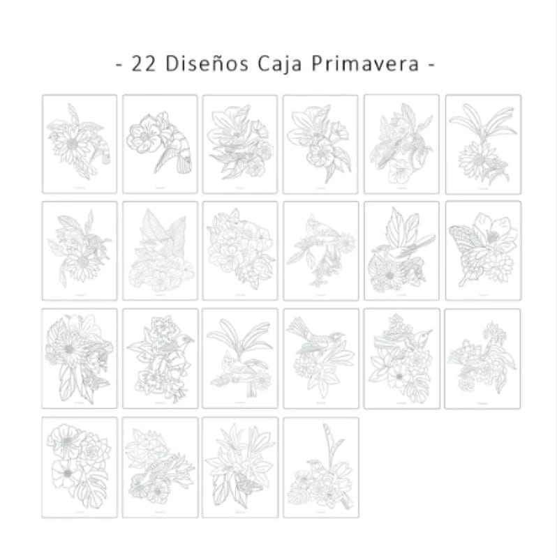 Caja creativa Primavera de Libélula Azul en Libélula Azul