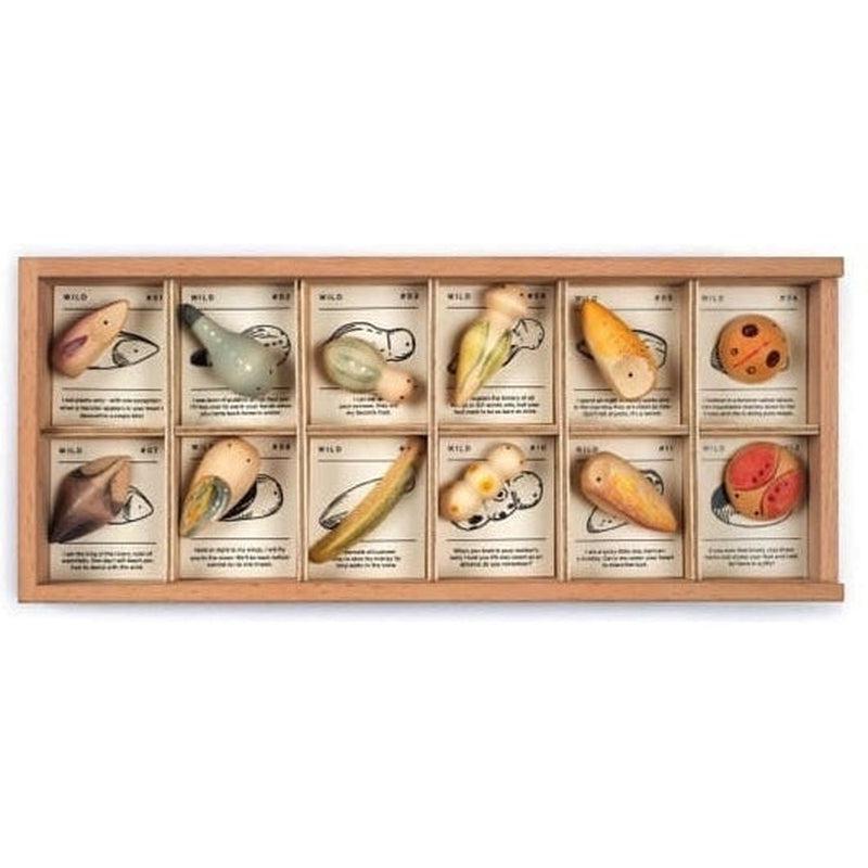 Wild de Grapat en Libélula Azul