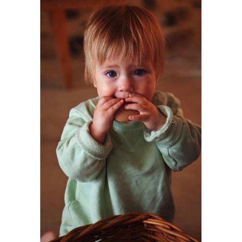 Discos natural de Grapat en Libélula Azul