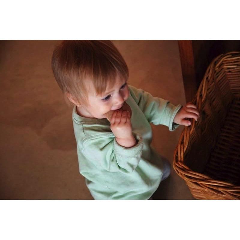 Discos natural de Grapat en Libélula Azul