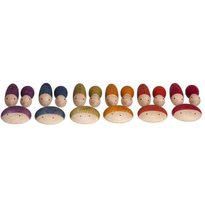 Insectos