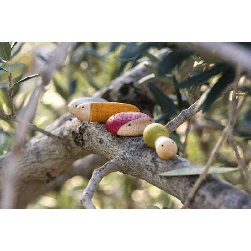 Insectos de Grapat en Libélula Azul