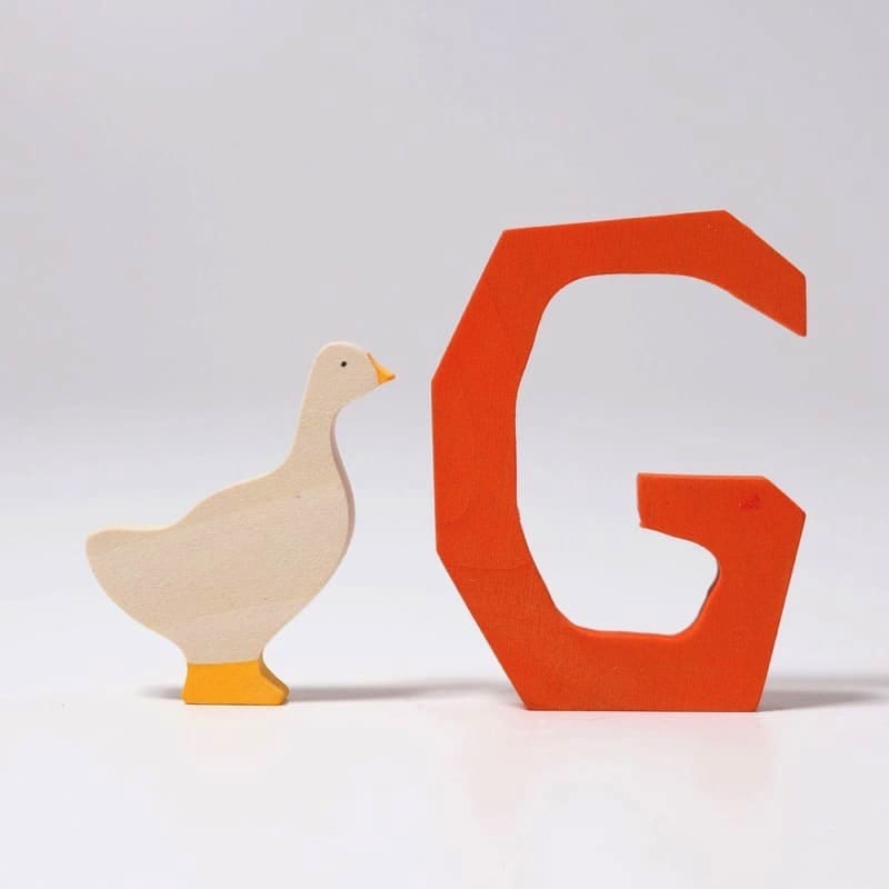 Letra antroposófica g de Grimm's en Libélula Azul