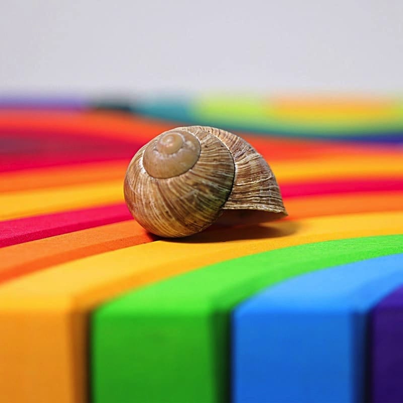 Bloques cuatro elementos grande de Grimm&#39;s en Libélula Azul