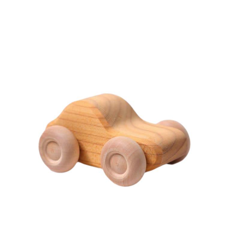 Auto natural rally