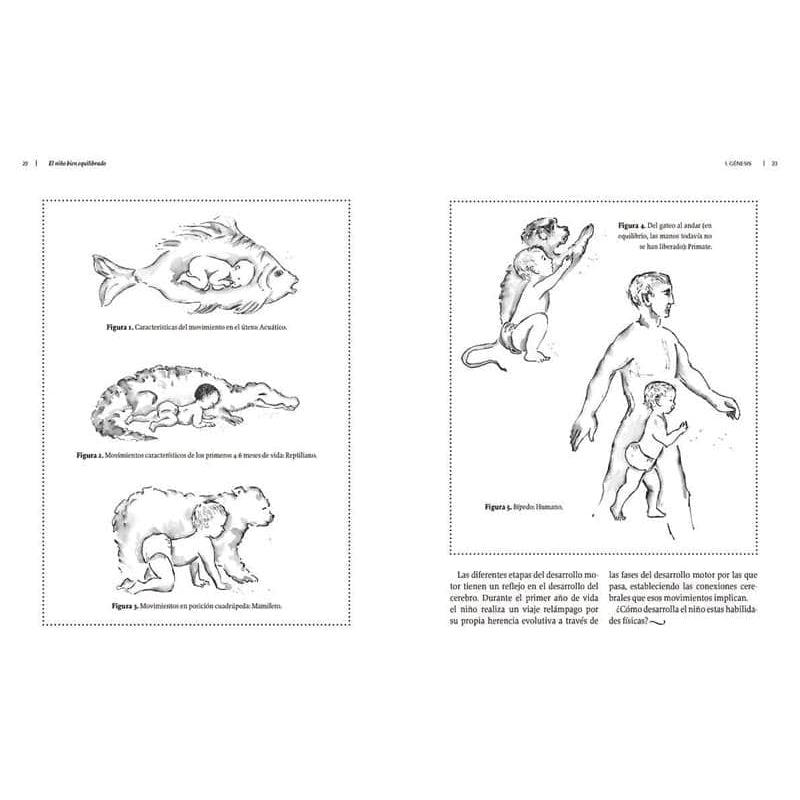 El niño bien equilibrado de ING Edicions en Libélula Azul