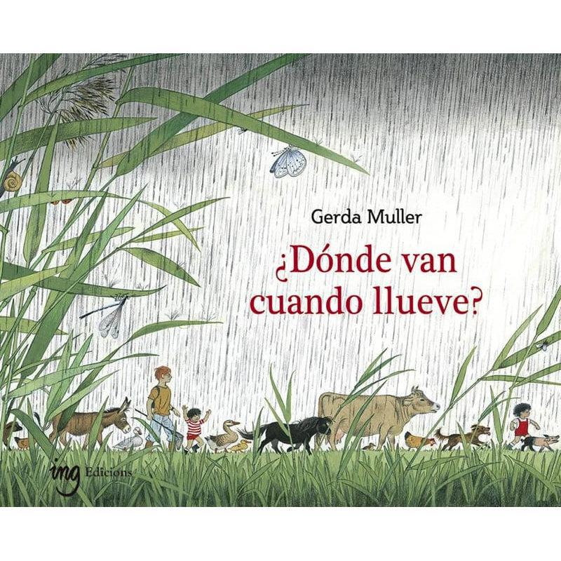 ¿Dónde van cuando llueve?