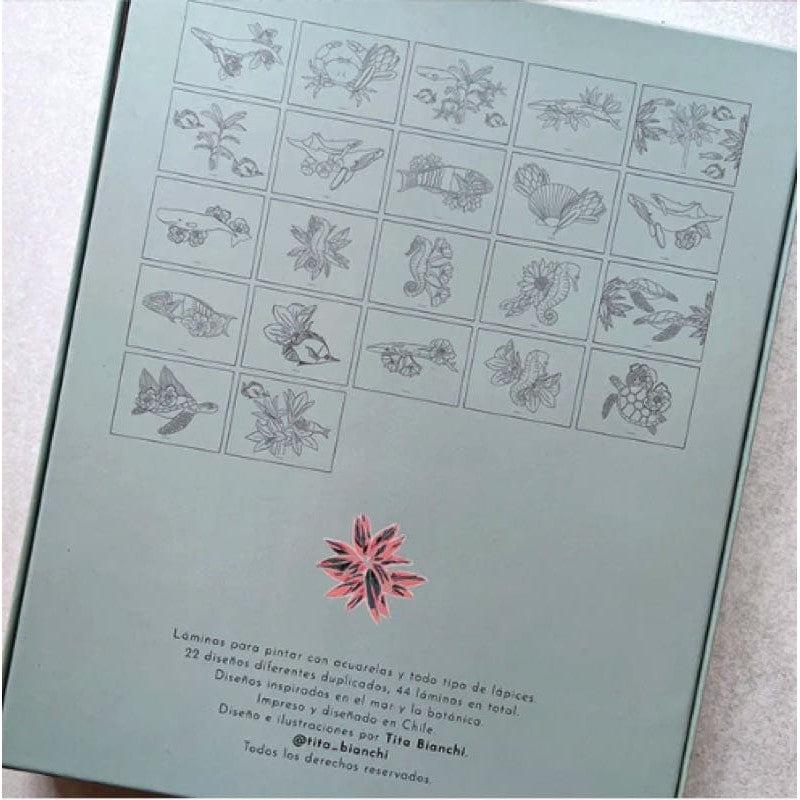 Caja creativa Mar botánico de Libélula Azul en Libélula Azul