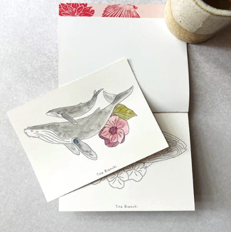 Libro de viaje Mar botánico de Libélula Azul en Libélula Azul