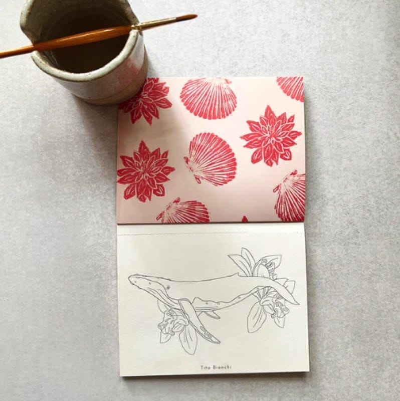 Libro de viaje Mar botánico de Libélula Azul en Libélula Azul