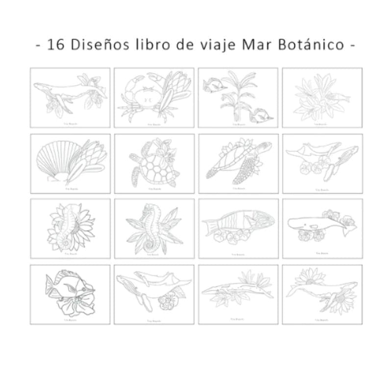 Libro de viaje Mar botánico de Libélula Azul en Libélula Azul