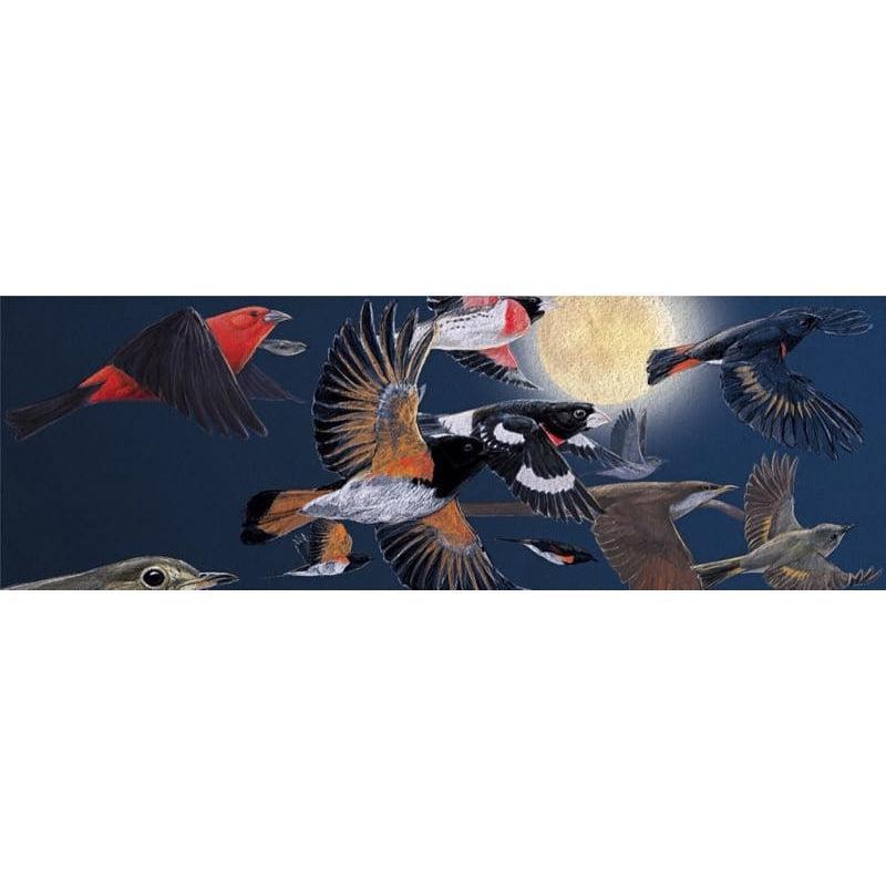 Puzzle Migraciones nocturnas