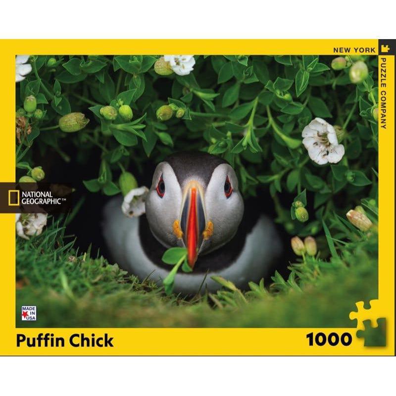 Puzzle Frailecillo polluelo
