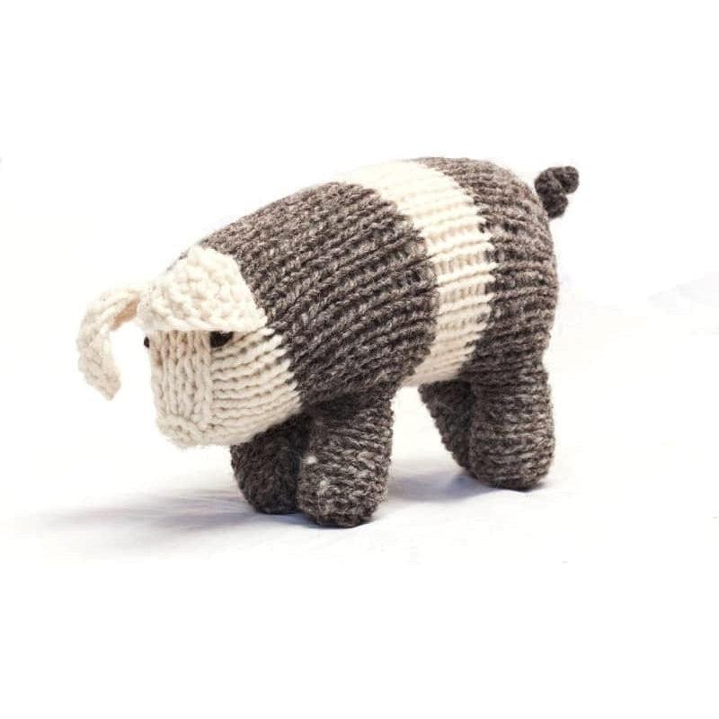 Chancho cinchón