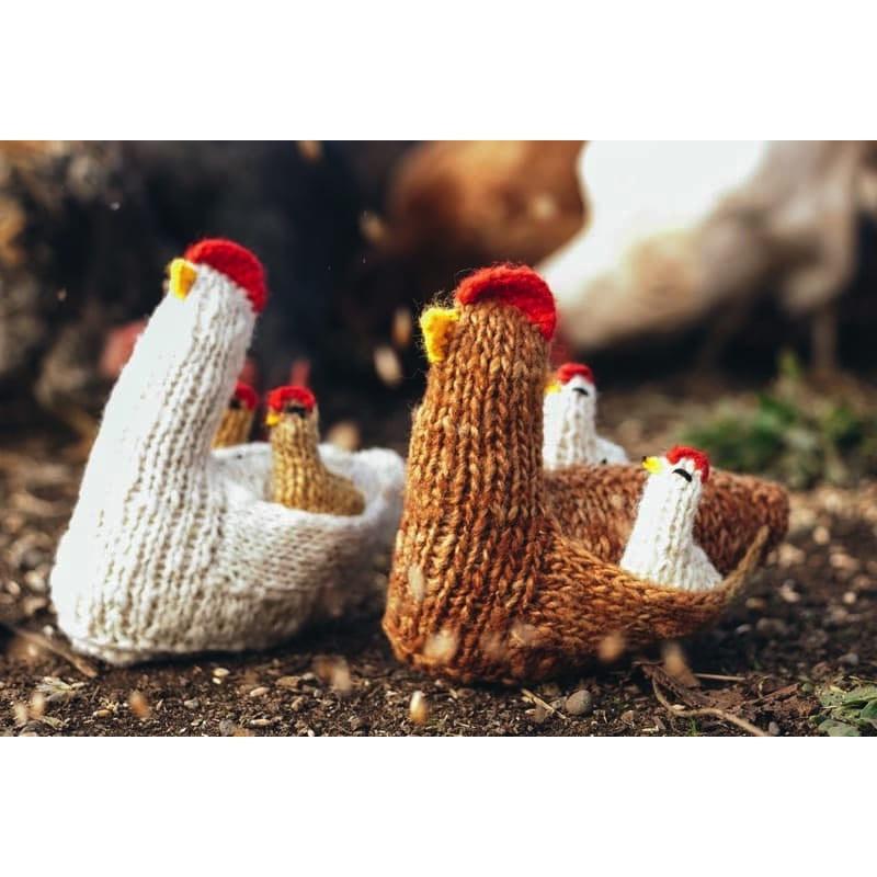 Gallina kollonka colorina