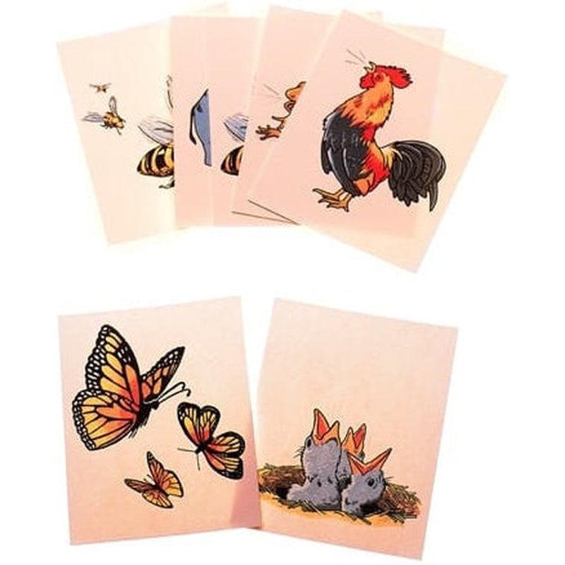 Tarjetas de asociación a dinámicas